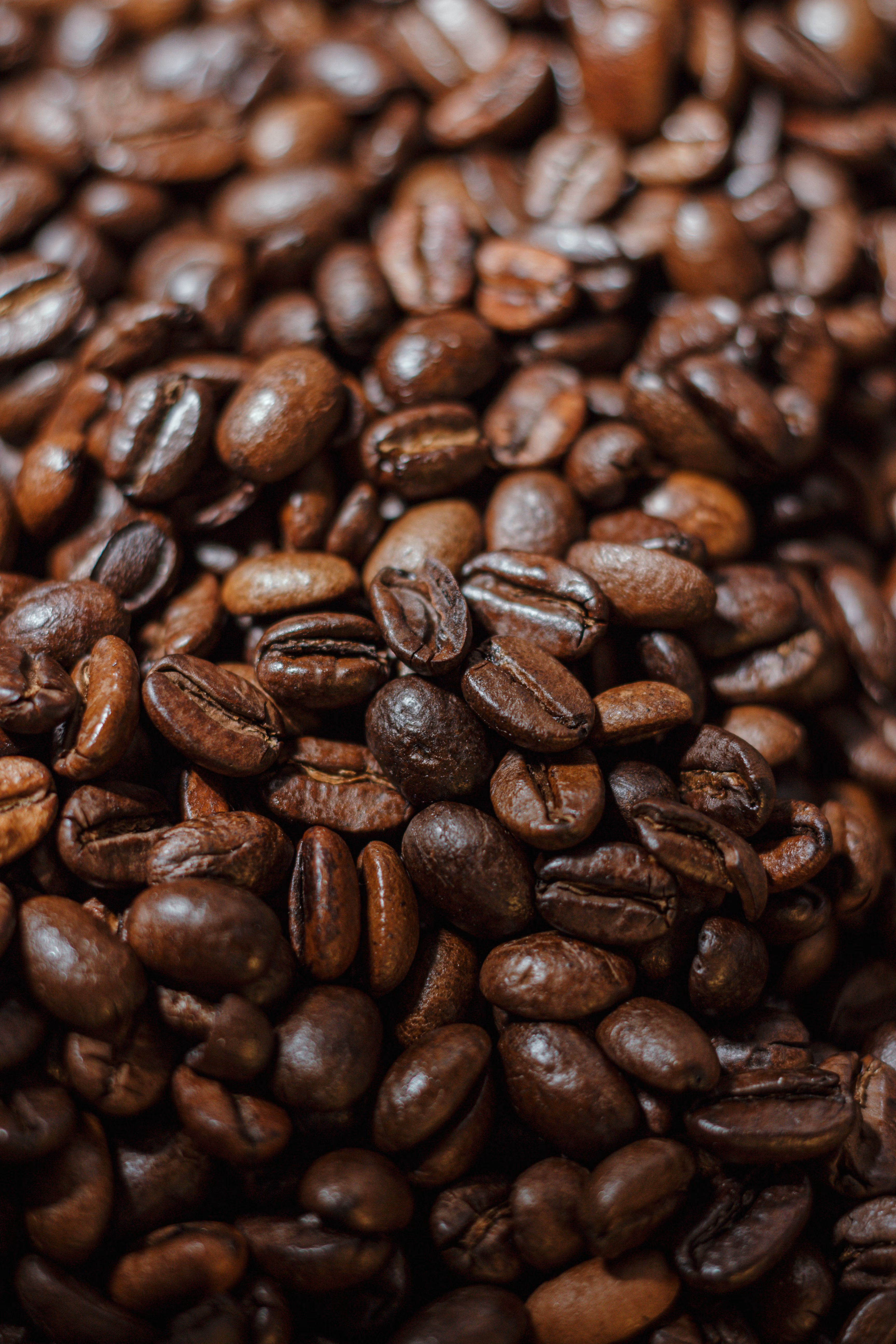 Dark roasted coffee beans