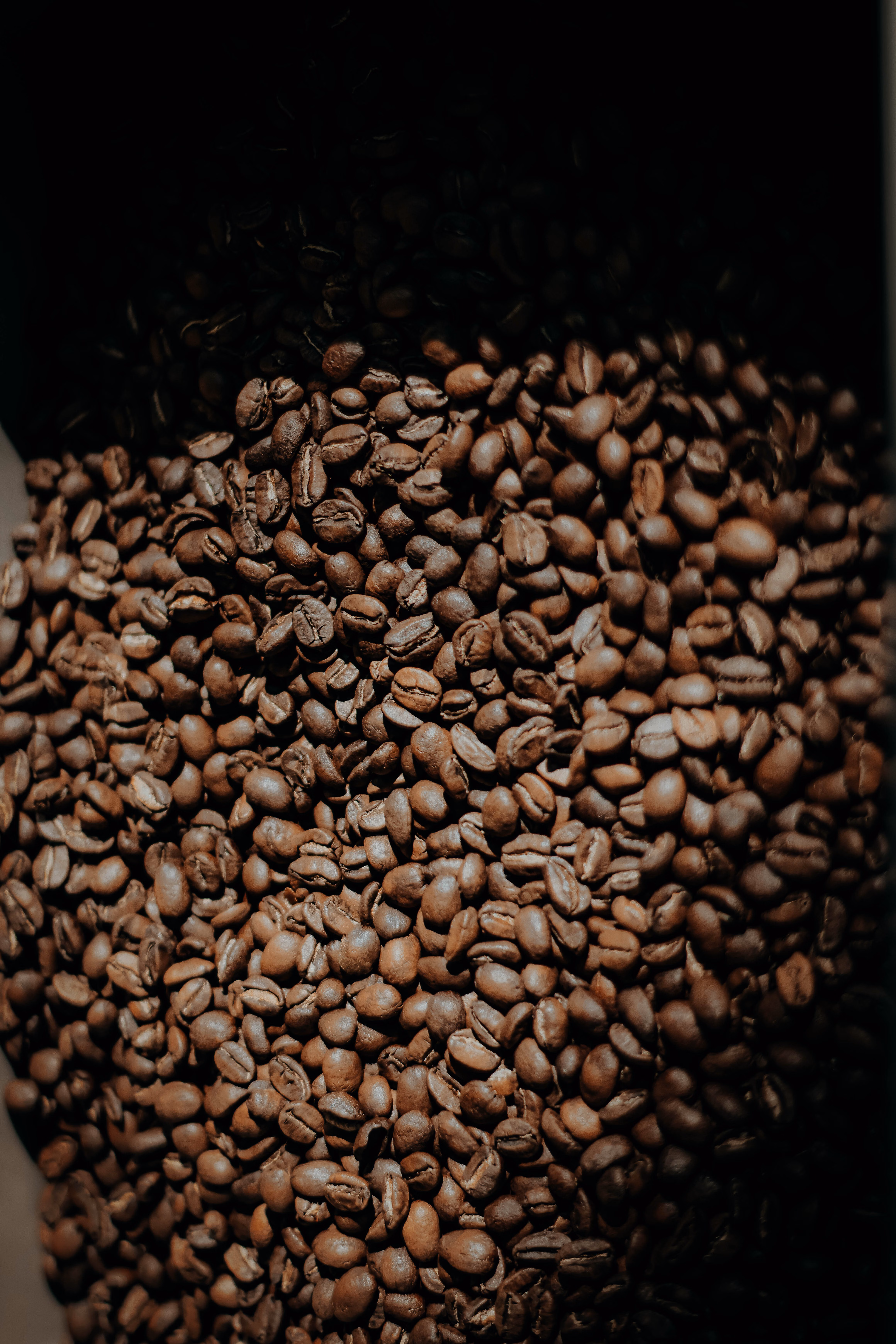 Dark roasted coffee beans, close texture