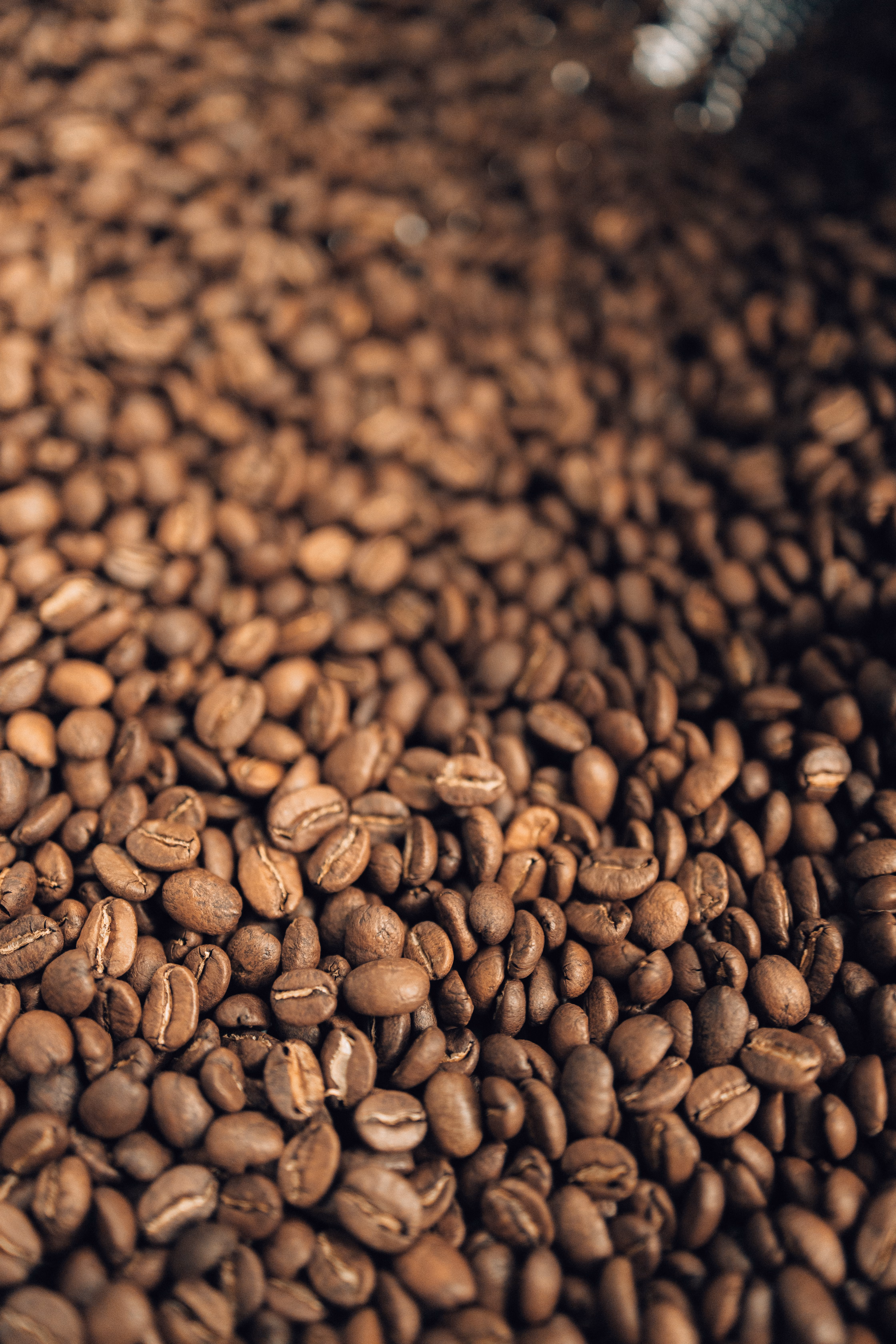 Coffee beans, close texture