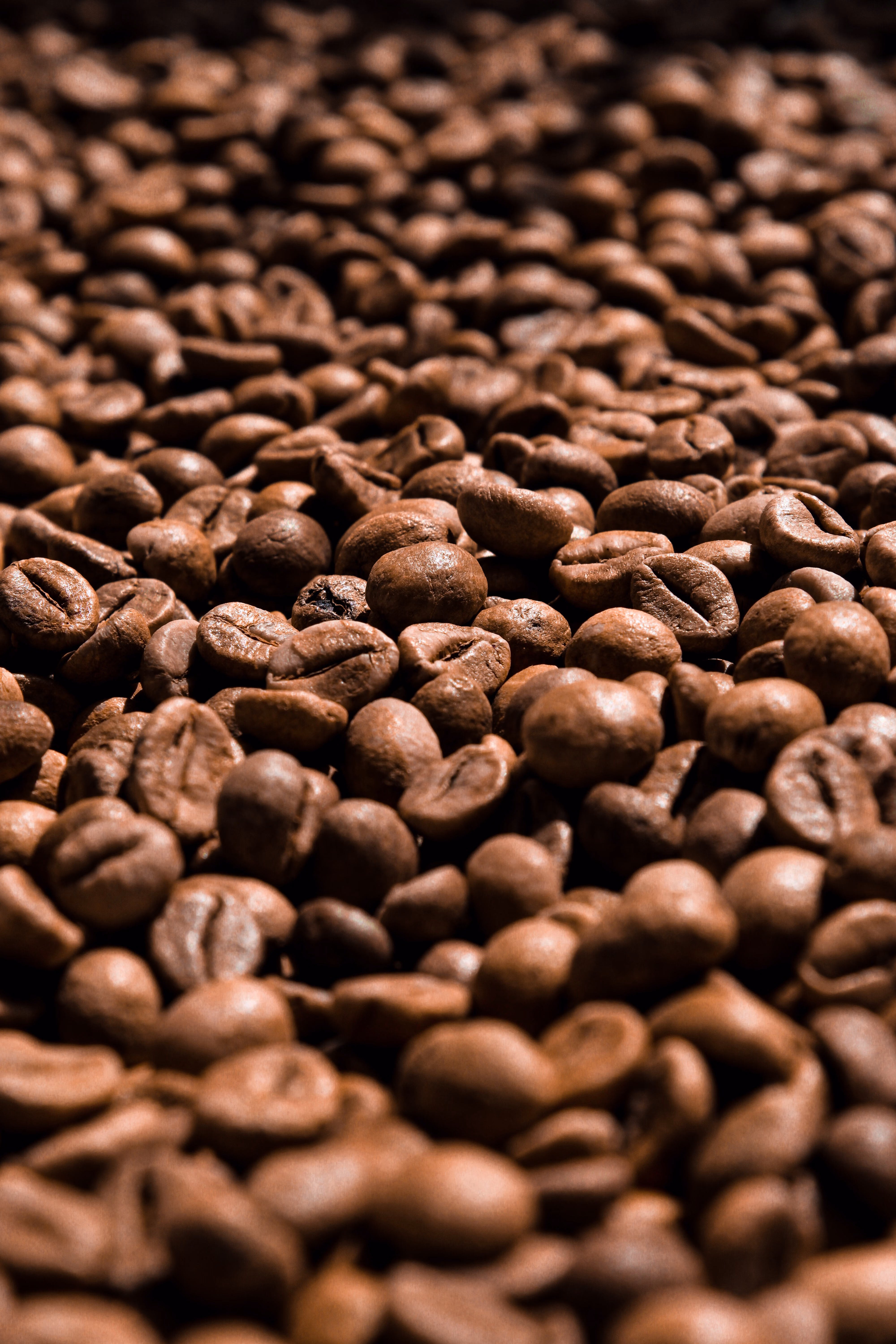 Roasted coffee beans, close texture